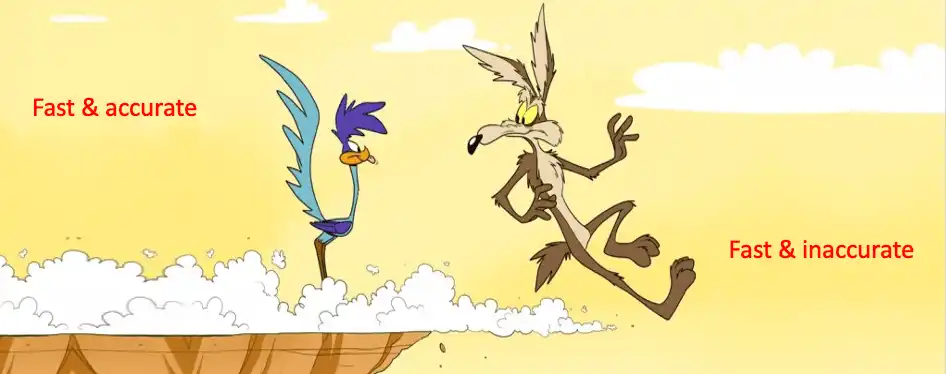Wile E. Coyote and the Road Runner cartoon