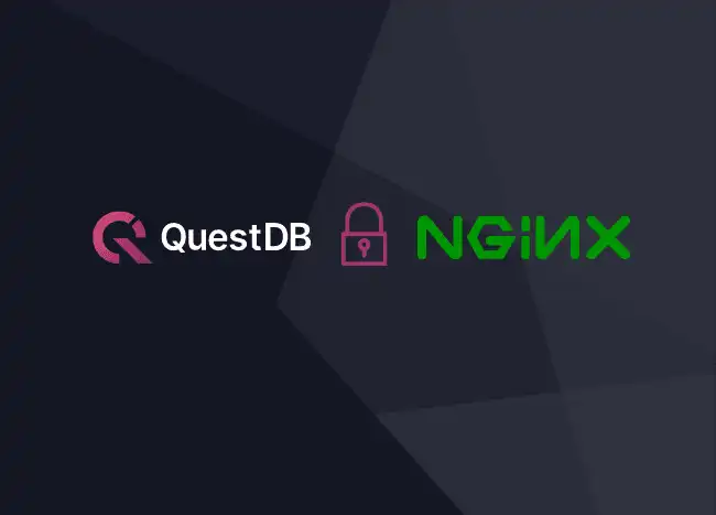 QuestDB log and nginx logo