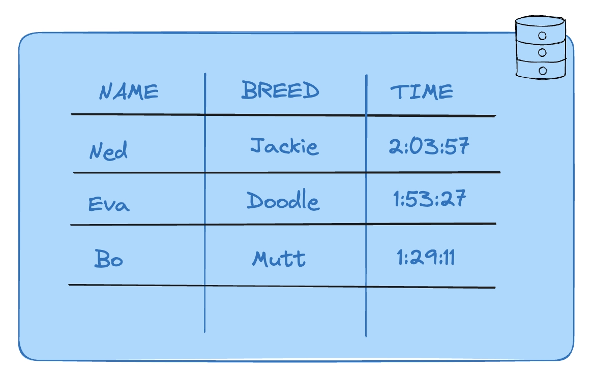 A relational table fo dogs with their name, breed, behaviour and time in the dog race.